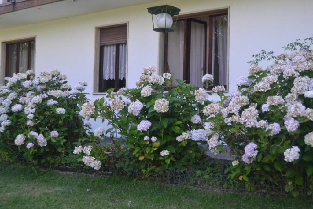 Villa Immersa Nel Verde A Lanzo dʼIntelvi Exterior foto